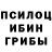 Галлюциногенные грибы Magic Shrooms Rama hosiny
