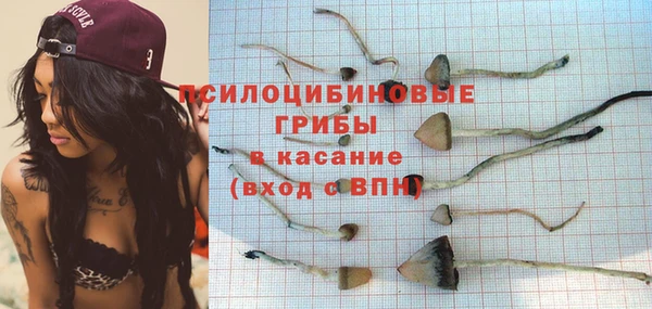 СК Красноперекопск