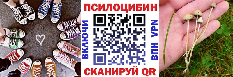 Купить где  Клин  Псилоцибиновые грибы MAGIC MUSHROOMS 
